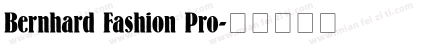 Bernhard Fashion Pro字体转换
